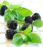 Blackberry & Basil Parfümöl